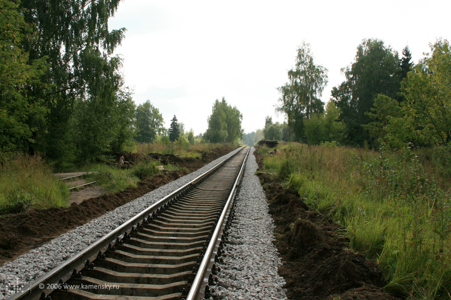 Железная дорога в Красноармейске