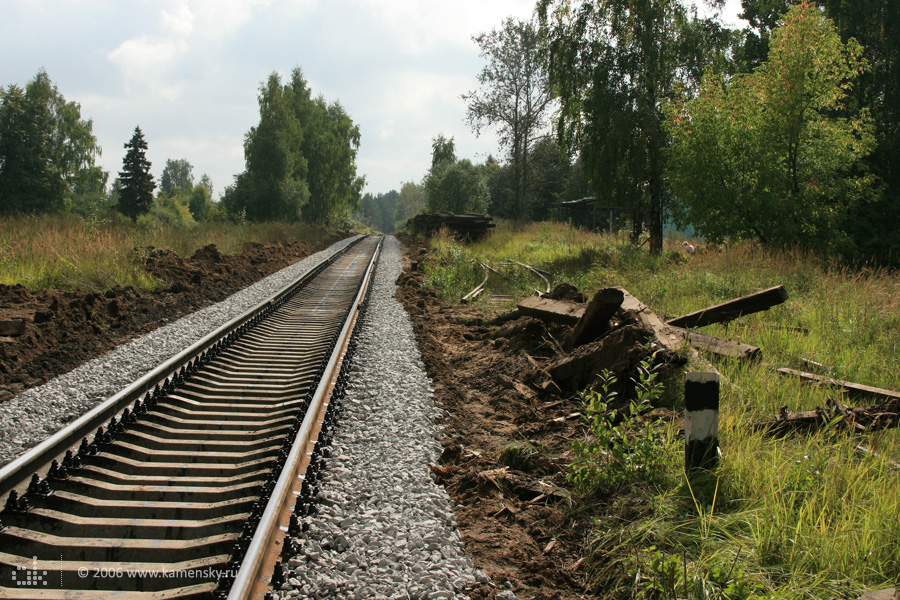 Железная дорога в Красноармейске Тепловоз ТГМ 4 2487