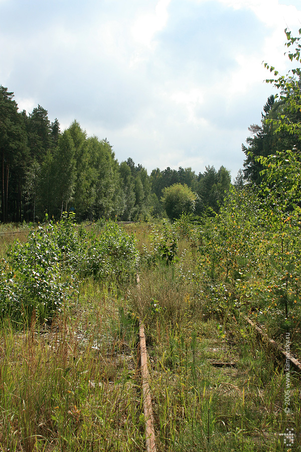 Железная дорога в Красноармейске