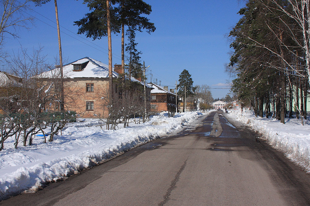 Радовицкий Мох, Московская область