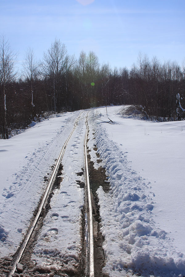 Радовицкий Мох, Московская область