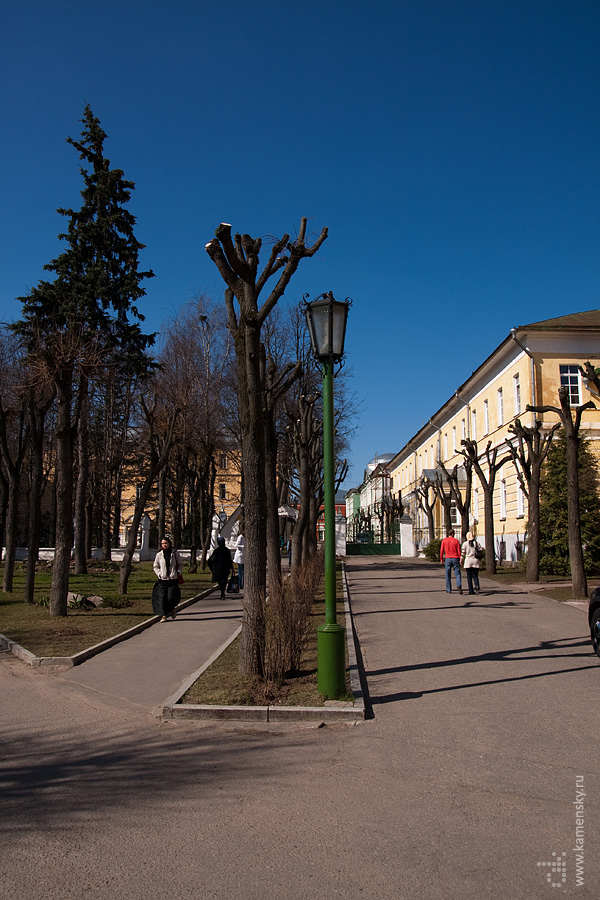 Художественное кронирование лип, Лавра, Сергиев Посад