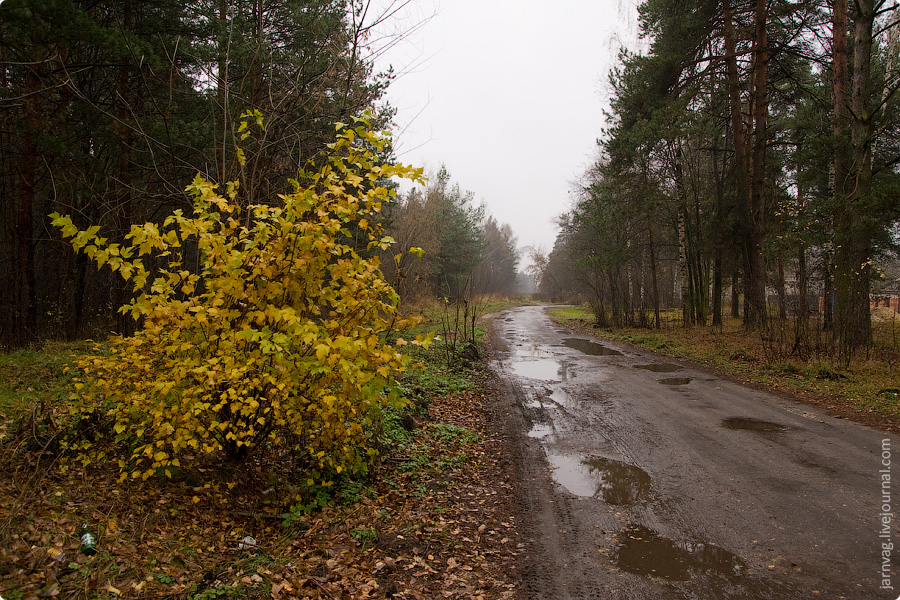 Осень, БМО, участок Поточино - Орехово - Дулево