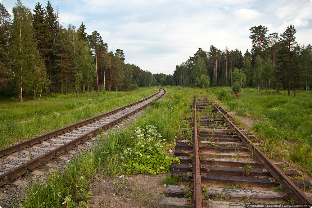 Красноармейский подъездной путь, Красноармейск, ППЖТ, железная дорога