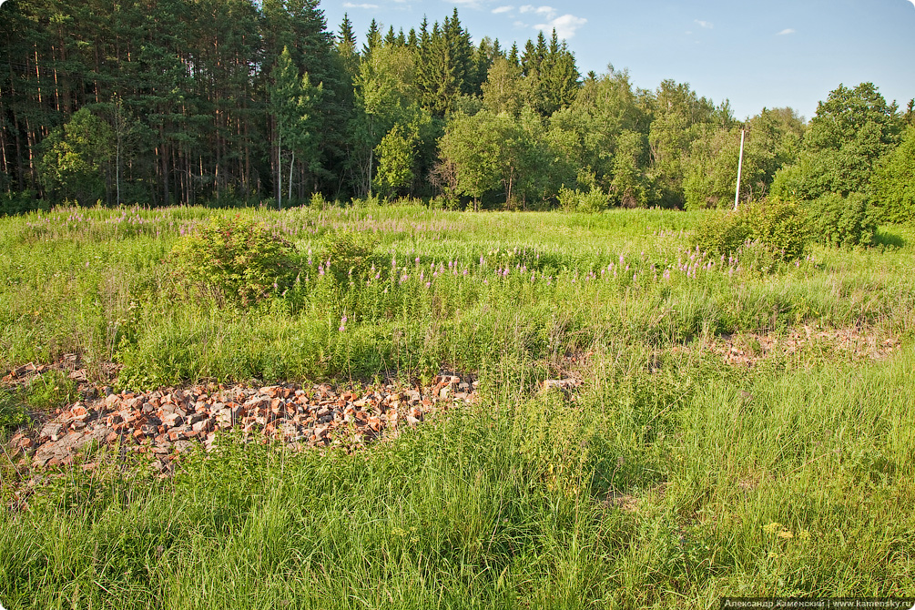 Подмосковные электрички, пригородные платформы, Красноармейская ветка, Пушкинский район