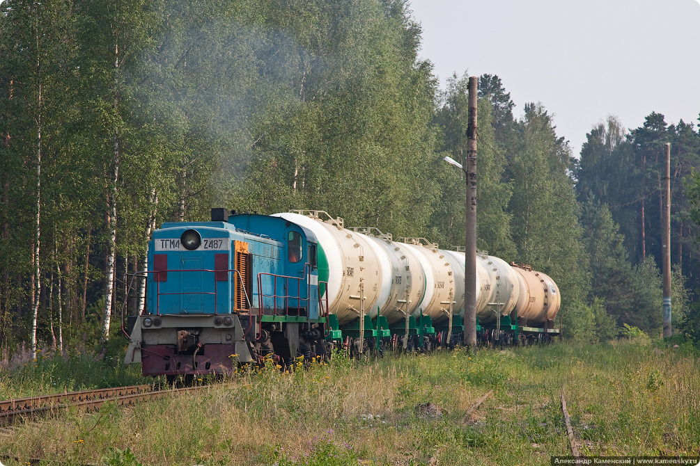 Осень, гроздья рябины