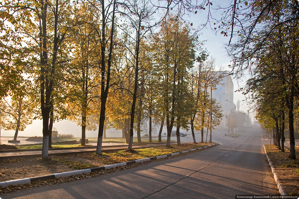 Осень, пейзаж, туман, паутина, роса на паутине, утренник