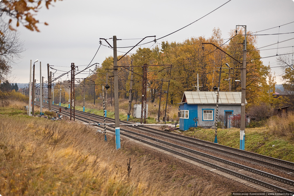 Осень, электричка, Семхоз, желтые листья, дубрава