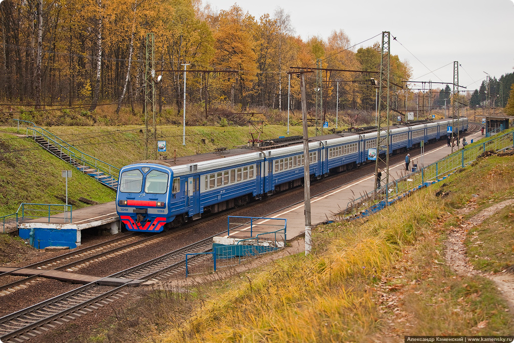 Осень, электричка, Семхоз, желтые листья, дубрава