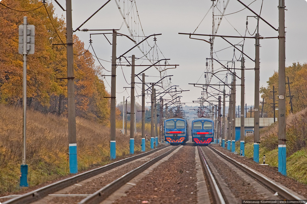 Осень, электричка, Семхоз, желтые листья, дубрава