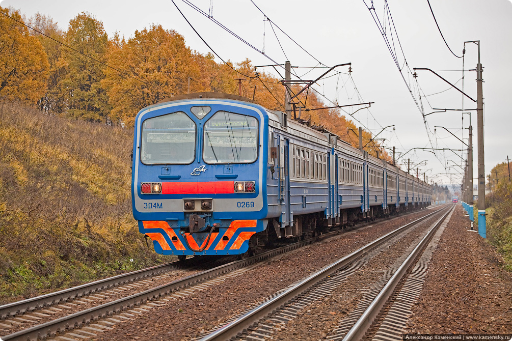 Осень, электричка, Семхоз, желтые листья, дубрава, ЭД4М-0269, ЭД4М, 269