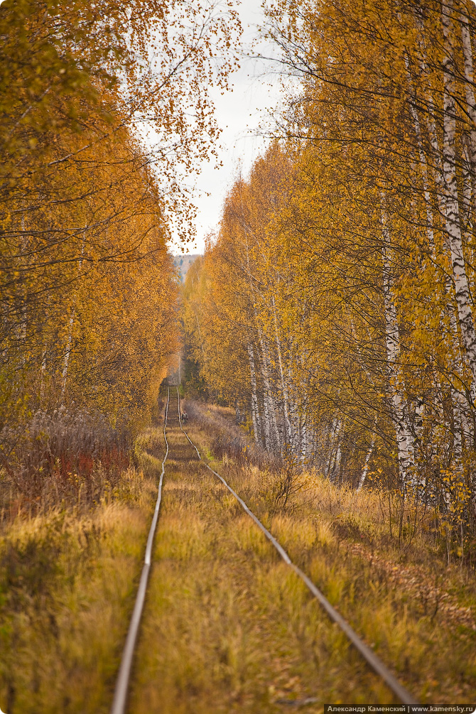 Осень, электричка, Семхоз, желтые листья, дубрава