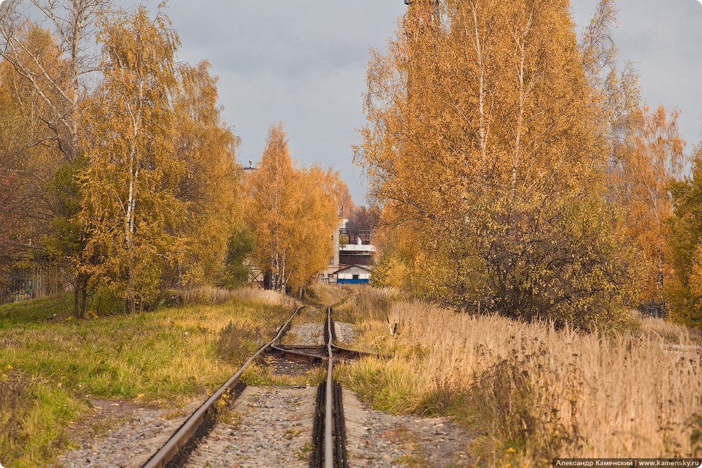 Осень, электричка, Семхоз, желтые листья, дубрава