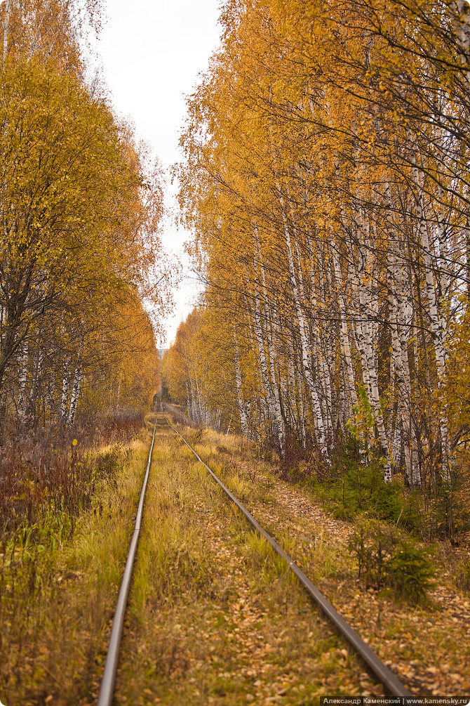 Подмосковная природа в разгар осени. Акценты.