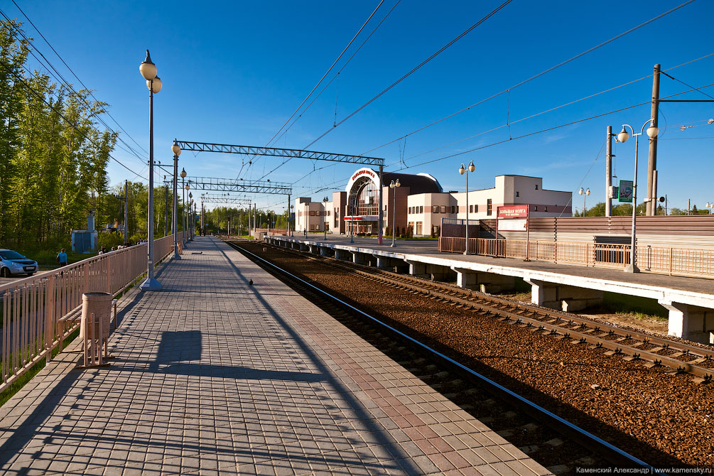 Дубнинская ветка, Савёловское направление, Московская область