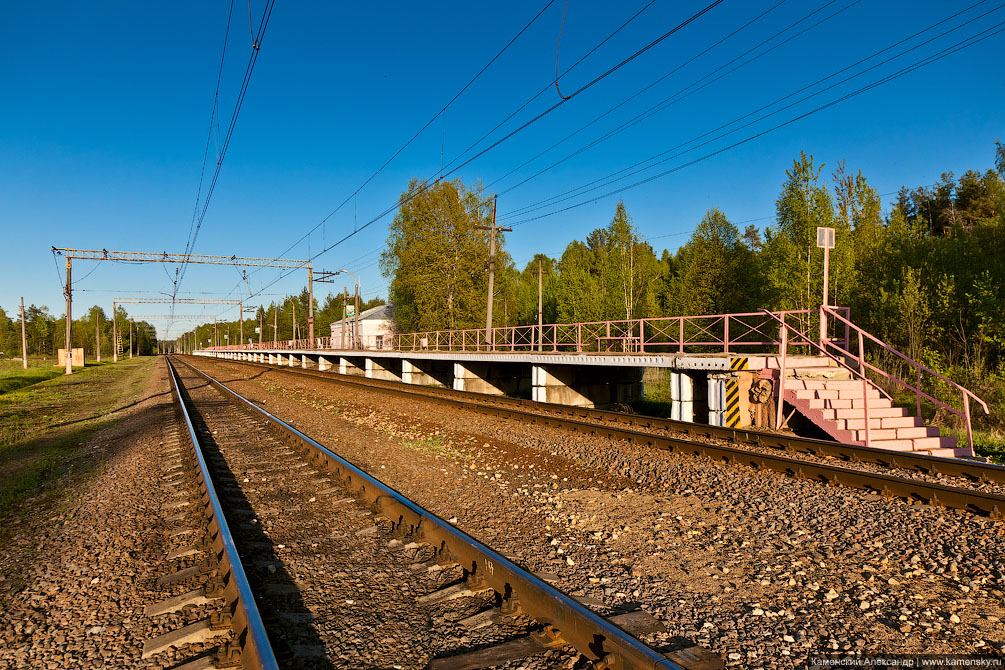 Дубнинская ветка, Савёловское направление, Московская область