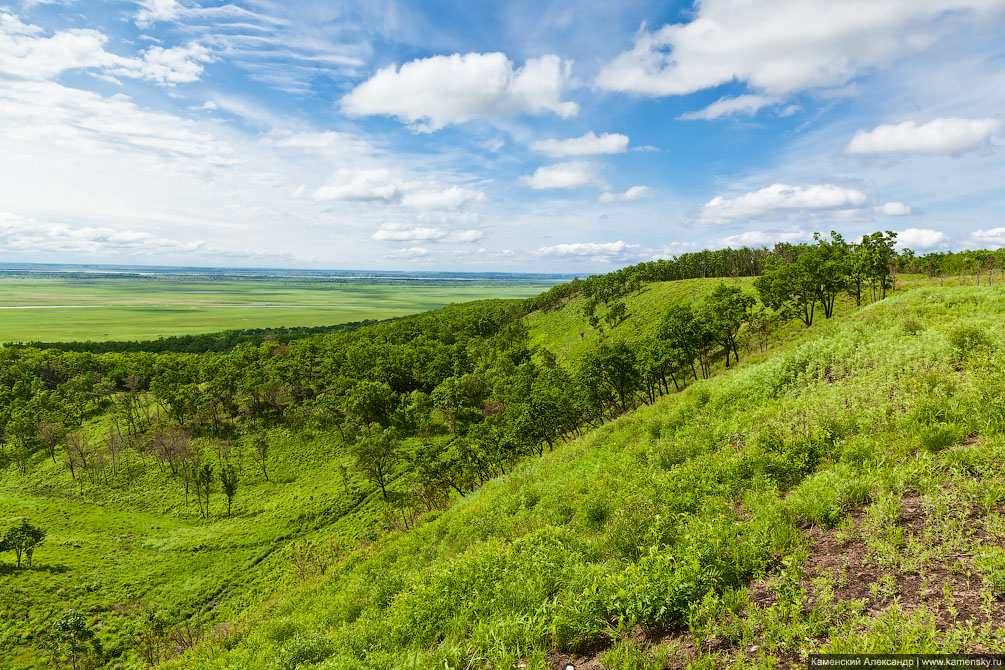 Амурская область, ветка на Благовещенск, Забайкальская железная дорога, пойменные луга река Зея, сопки