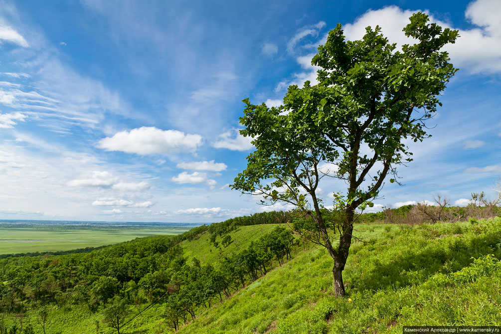 Амурская область, ветка на Благовещенск, Забайкальская железная дорога, пойменные луга река Зея, сопки