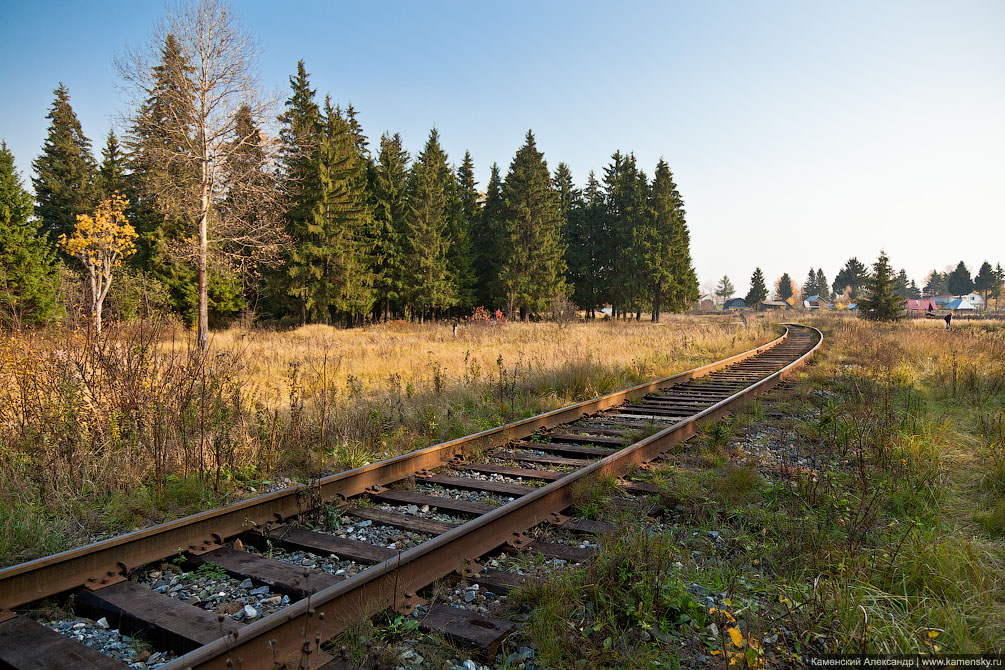 Осенние железнодорожности, Московская область, Осень