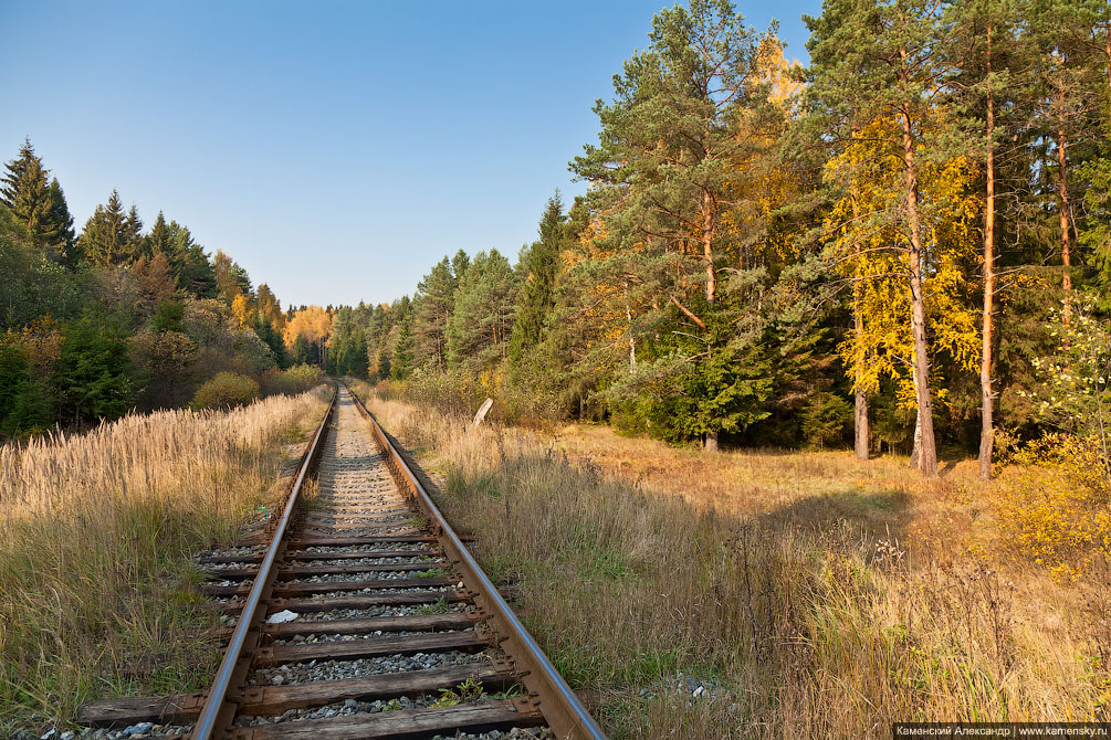 Осенние железнодорожности, Московская область, Осень