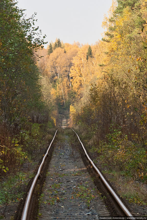 Осенние железнодорожности, Московская область, Осень