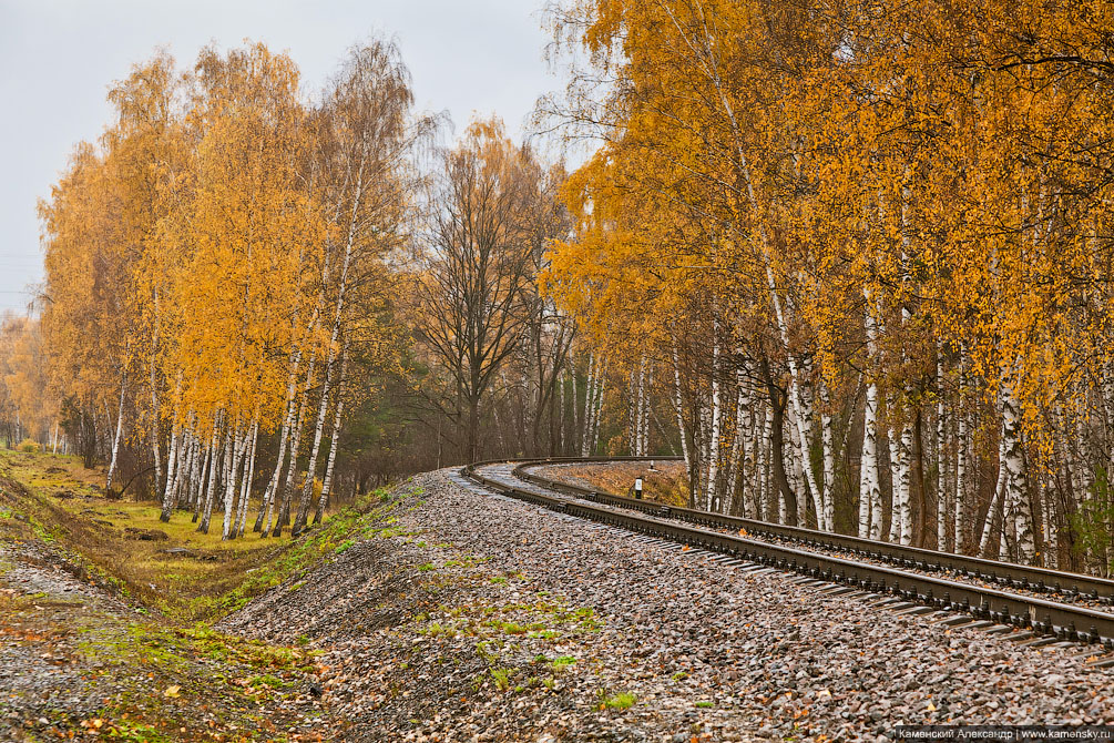 Москва, Подъездной путь, станция Белокаменная, МОЖД, Мыза Раёво, ППЖТ