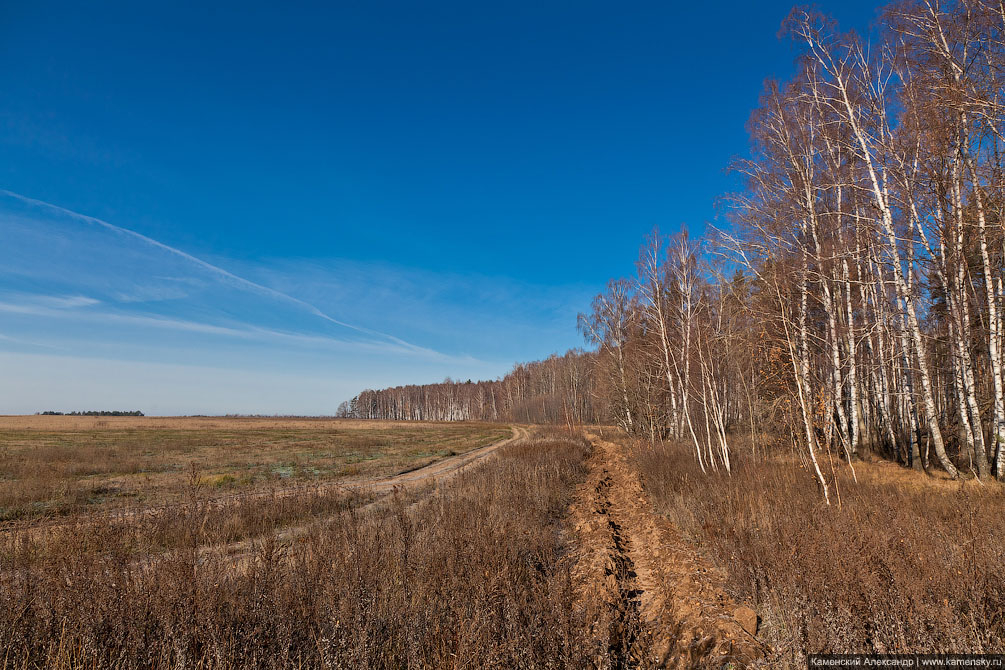 Осень, Первые заморозки, Ступинский район, Московская область, Природа, Ландшафты