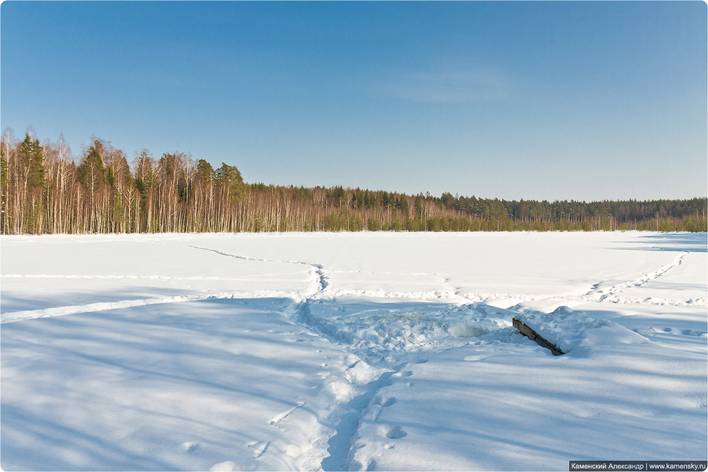 Весна, лес, март