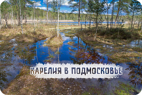 Ногинский район, село Воскресенское, Лесные озера, Московская область