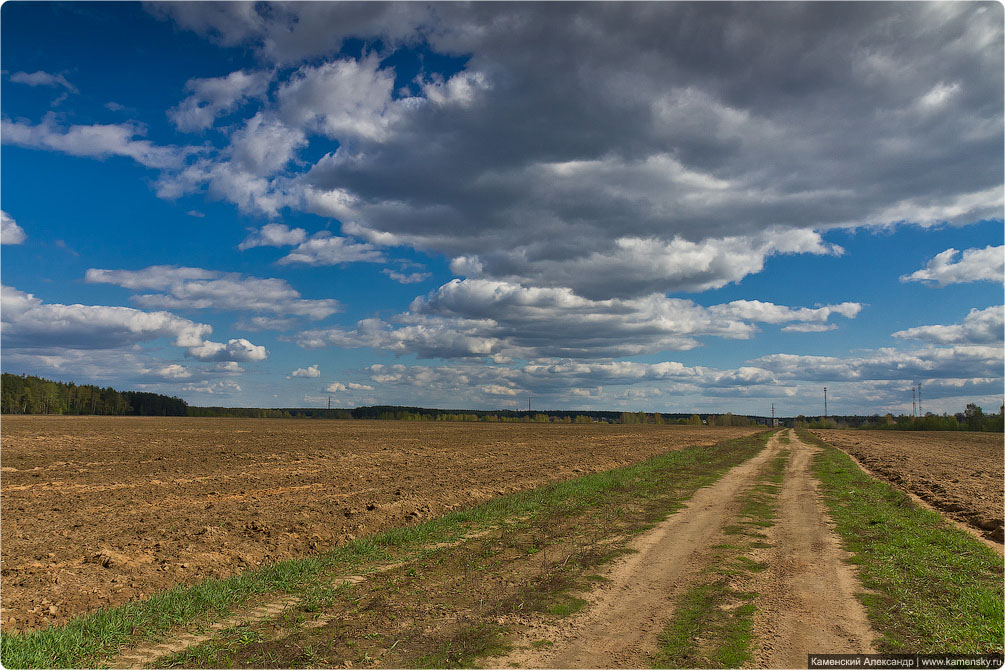 Ногинский район, село Воскресенское, Лесные озера, Московская область