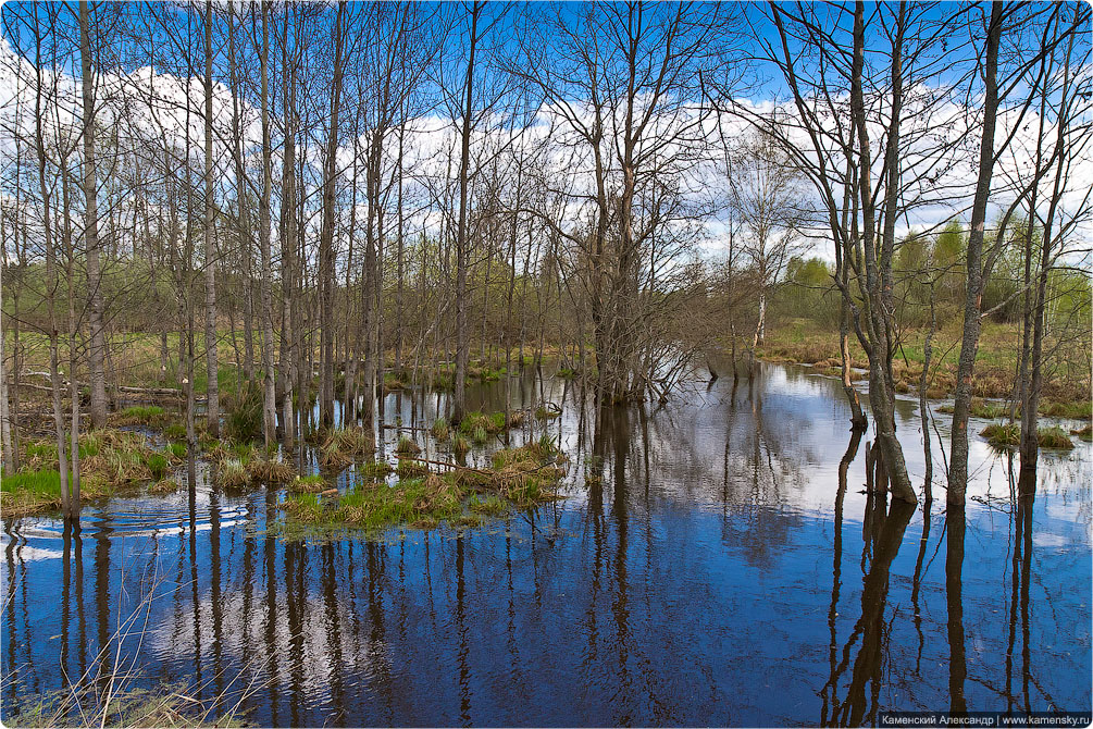 Ногинский район, село Воскресенское, Лесные озера, Московская область