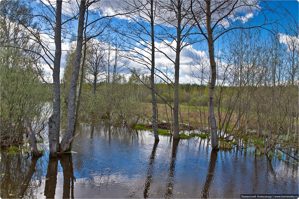 Ногинский район, село Воскресенское, Лесные озера, Московская область