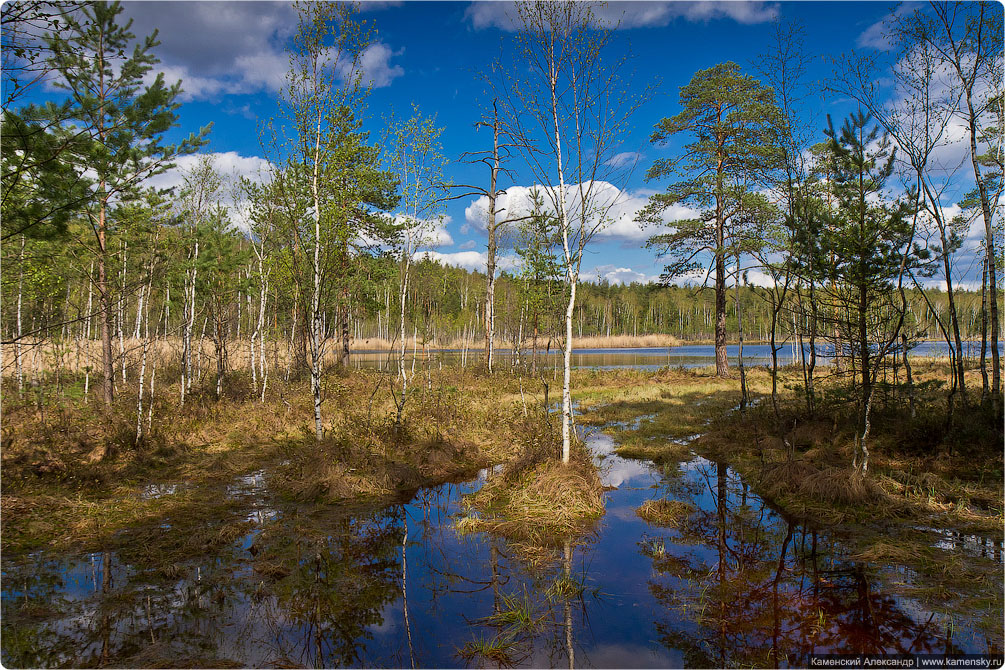 Ногинский район, село Воскресенское, Лесные озера, Московская область