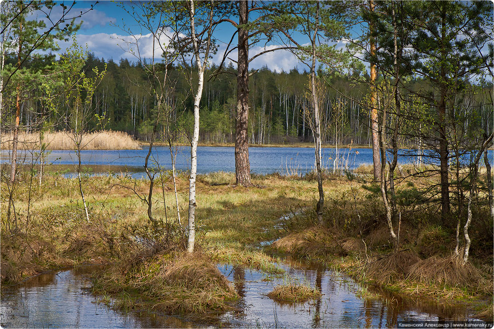 Ногинский район, село Воскресенское, Лесные озера, Московская область