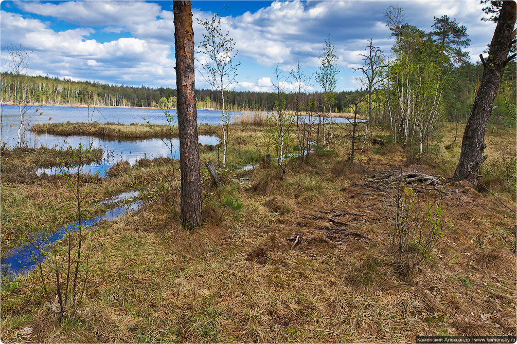 Ногинский район, село Воскресенское, Лесные озера, Московская область