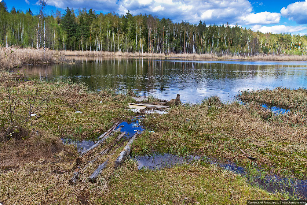 Ногинский район, село Воскресенское, Лесные озера, Московская область