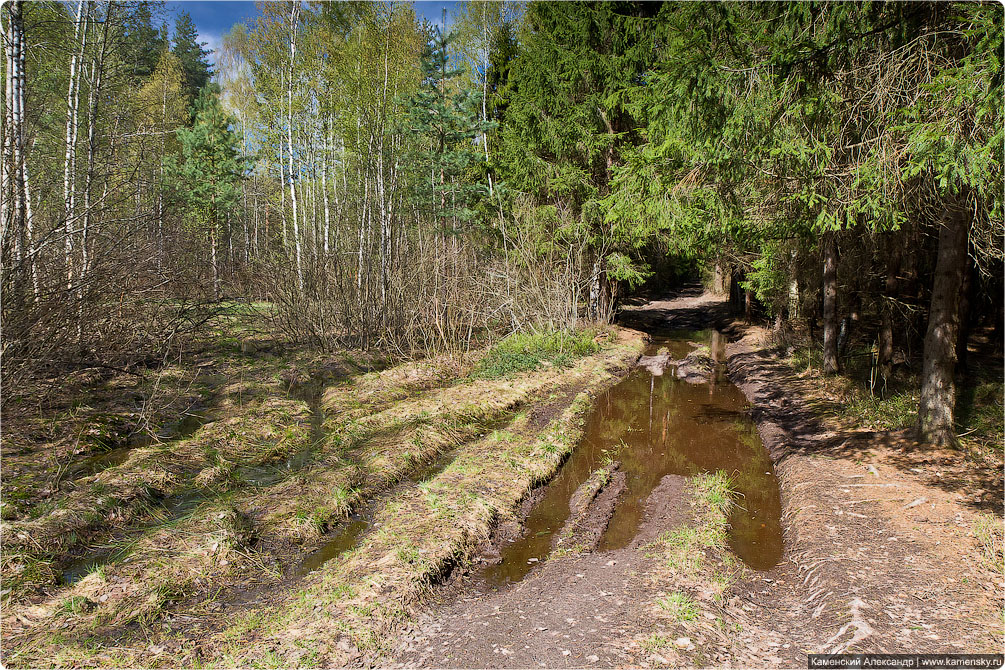 Ногинский район, село Воскресенское, Лесные озера, Московская область