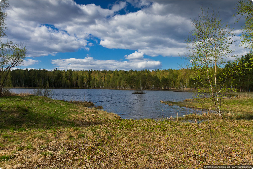 Ногинский район, село Воскресенское, Лесные озера, Московская область