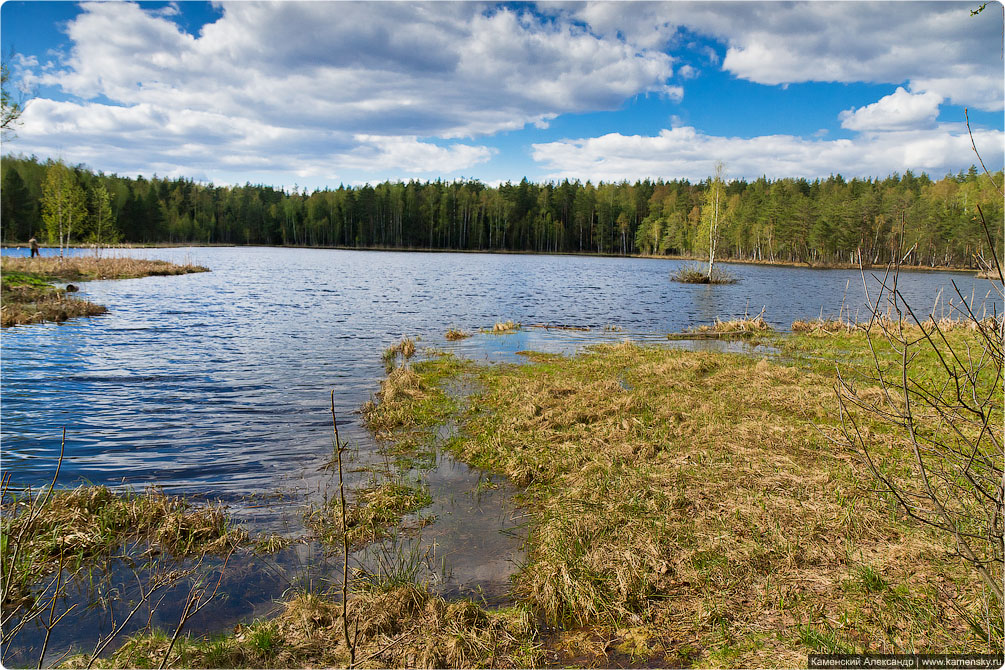 Ногинский район, село Воскресенское, Лесные озера, Московская область