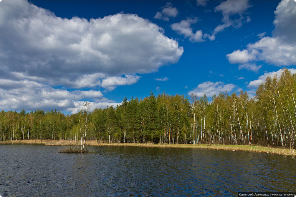 Ногинский район, село Воскресенское, Лесные озера, Московская область