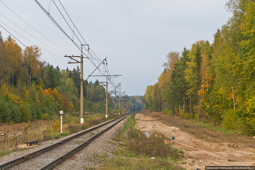 Лето, Фотографии, станция, Красноармейск, платформа Федоровское, железная дорога, электрички, Подмосковье, Московская область