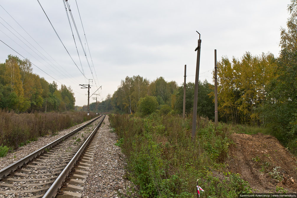 БМО, Осень, Железная дорога, реконструкция, Желтиково, Наугольный, Бубяково, Александров, Карабаново