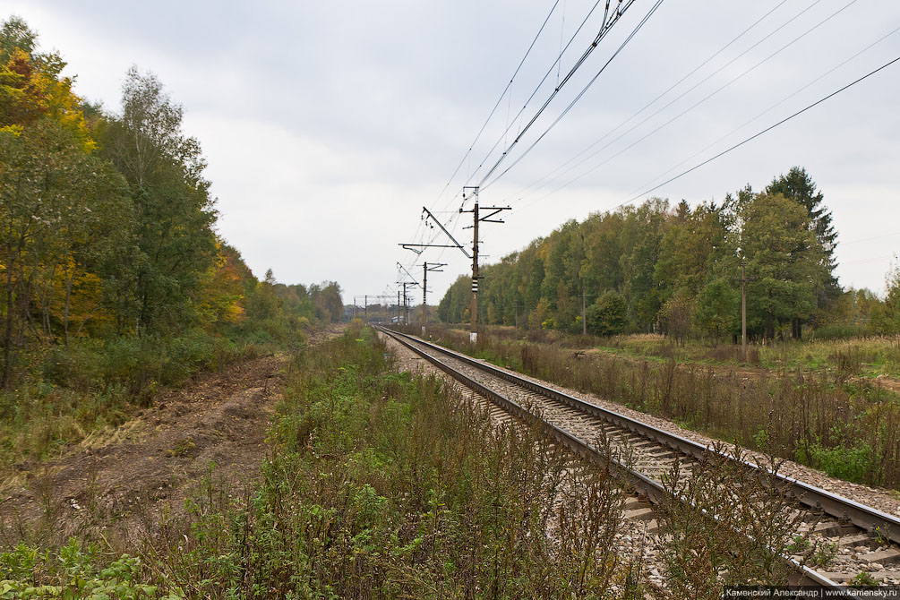 БМО, Осень, Железная дорога, реконструкция, Желтиково, Наугольный, Бубяково, Александров, Карабаново