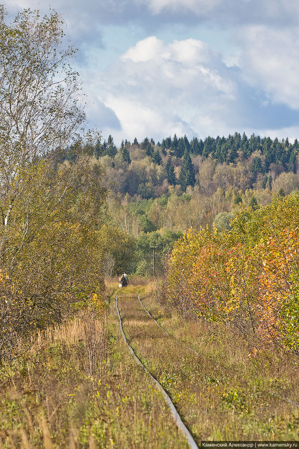 Осень, Сергиев Посад, Тураково, малодеятельные линии, ППЖТ