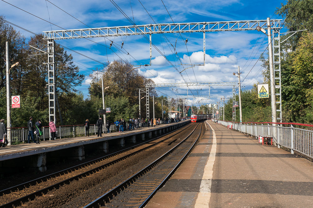 Московская область, Савёловское направление, Лобня, Долгопрудный, Некрасовская, Водники, осень, железная дорога, поезда, электрички, платформы, станции