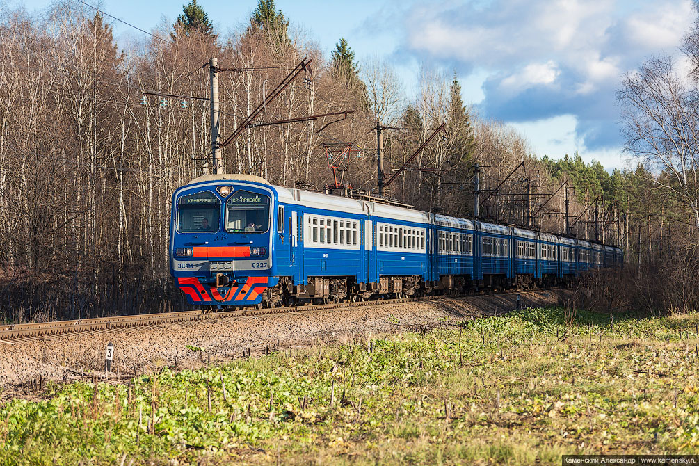 платформа, Московская область, Красноармейск, Фёдоровское, Ярославское направление, железная дорога, Электропоезд ЭД4М-0227, электричка