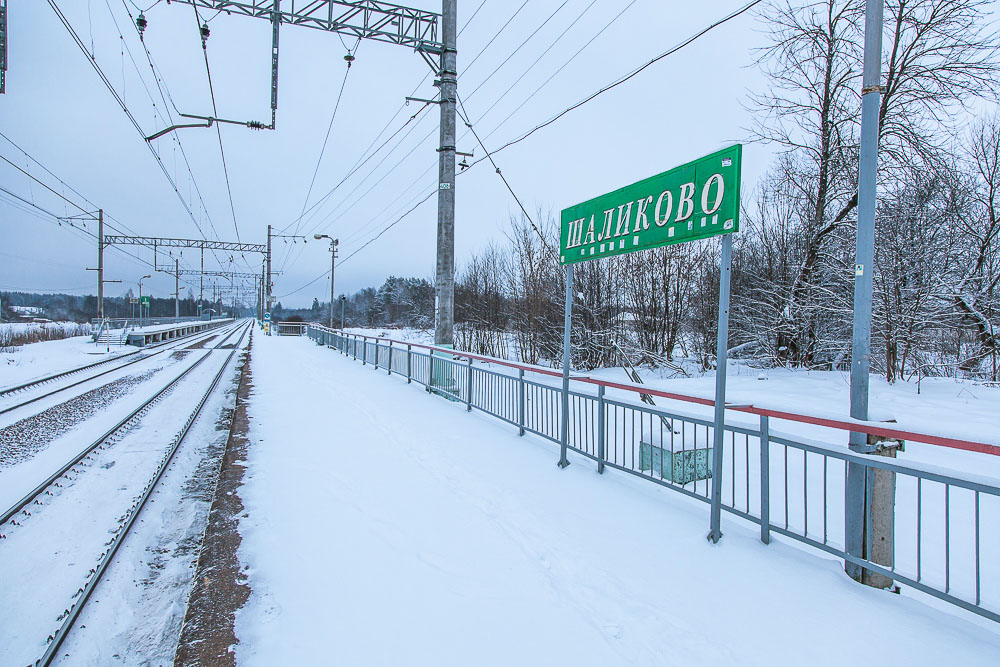 Московская область, Белорусское направление, Партизанская, Кукаринская, зима, железная дорога, поезда, электрички, платформы, станции