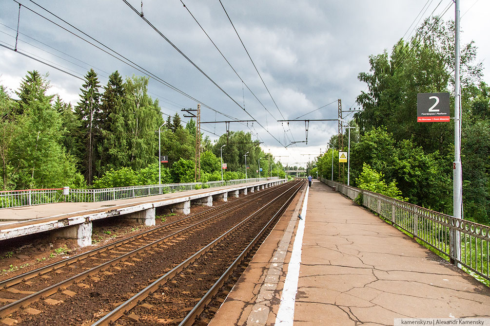 Московская область, Савёловское направление, платформа Трудовая