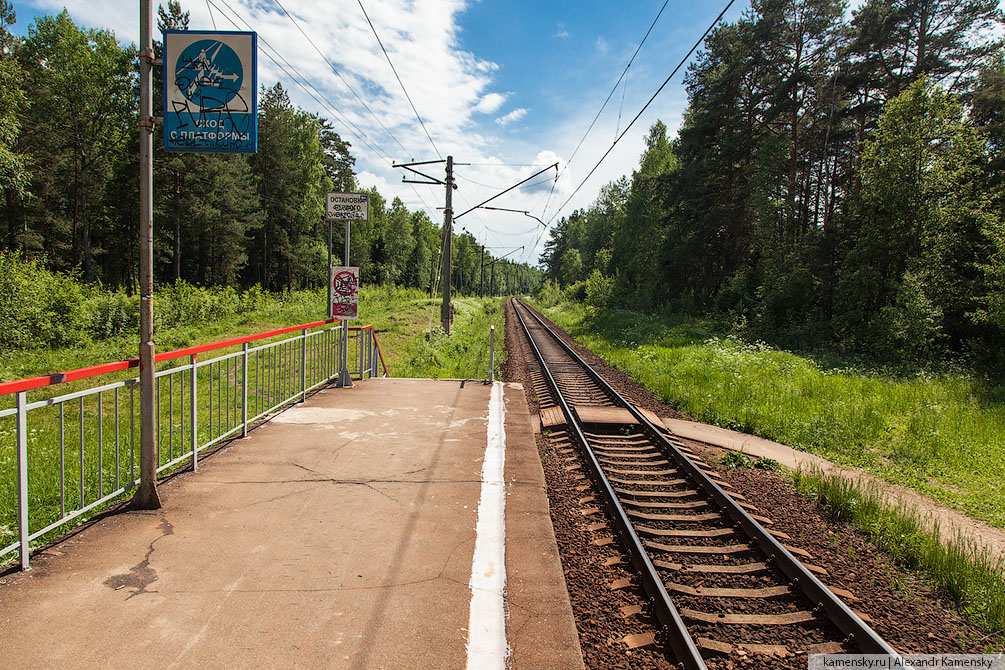 Московская область, Савёловское направление, платформы и станции, лето, хорошо