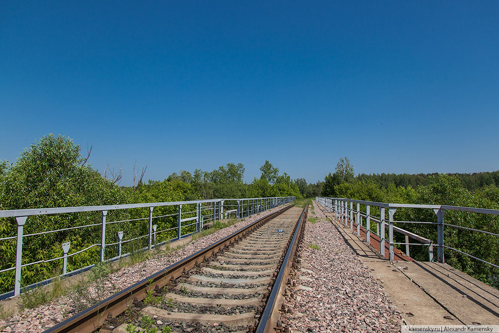 Московская область, лето, Ногинск